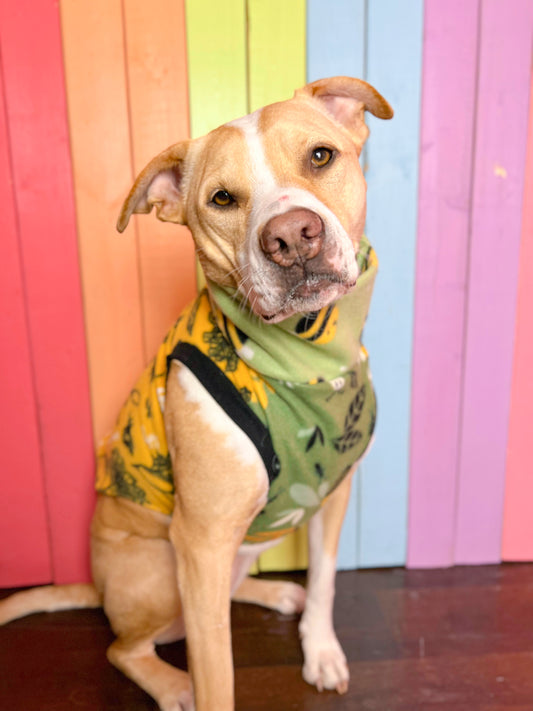 Garden party mix and match print fleece sleeveless dog sweatshirt