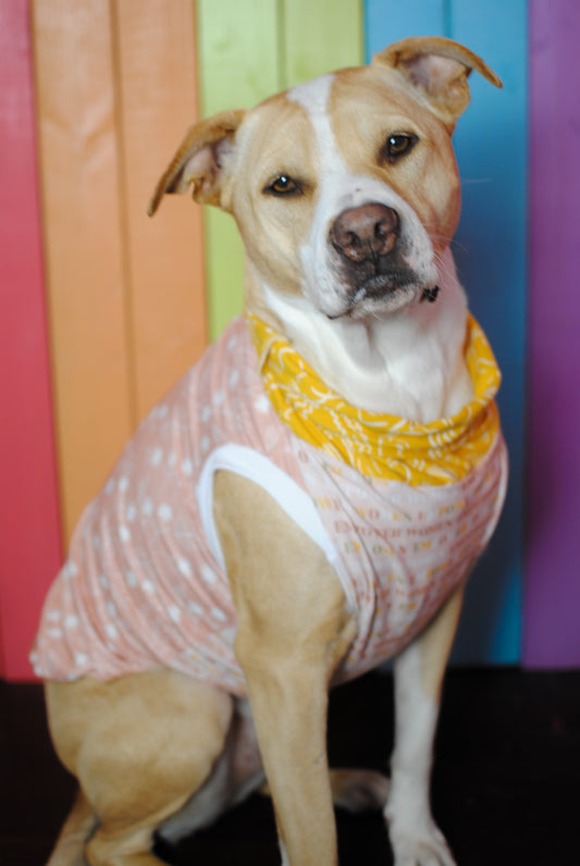 Girl power mix and match print stretchy dog tank top