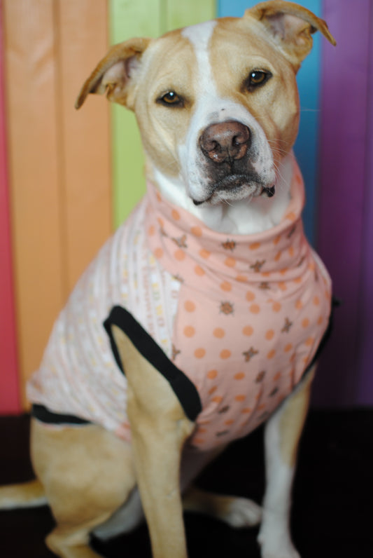 Girl power mix and match print stretchy dog tank top