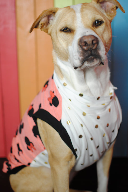 Minnie Mouse dog tank top medium dog pit bull