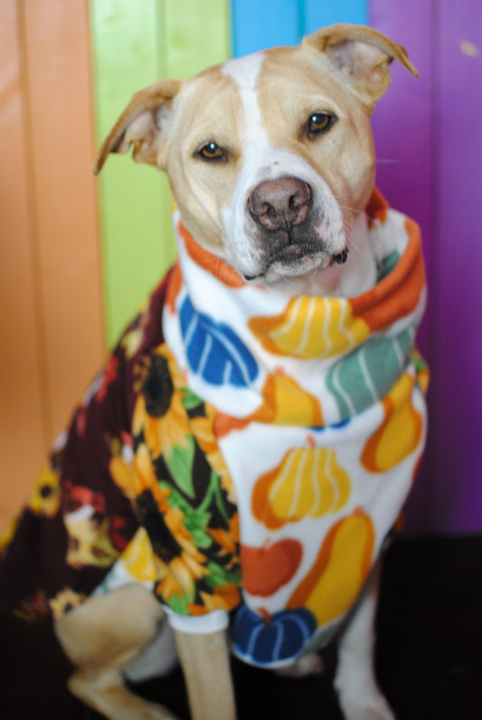 Oh my gourd! Mix and match print fleece sweatshirt