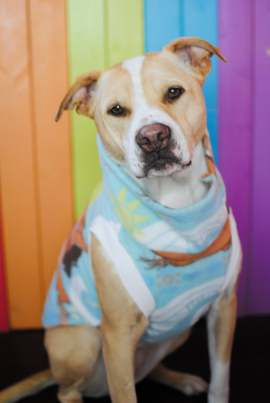 Disney’s moana fleece dog sweatshirt