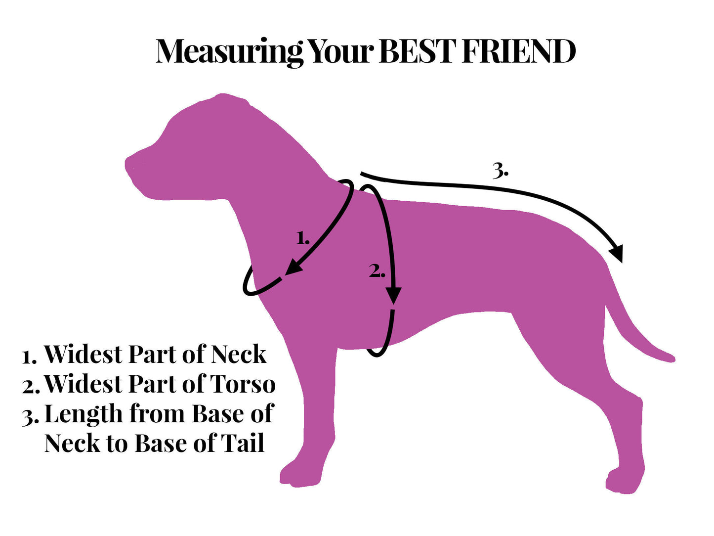 Boston Red Sox sleeveless dog sweatshirt