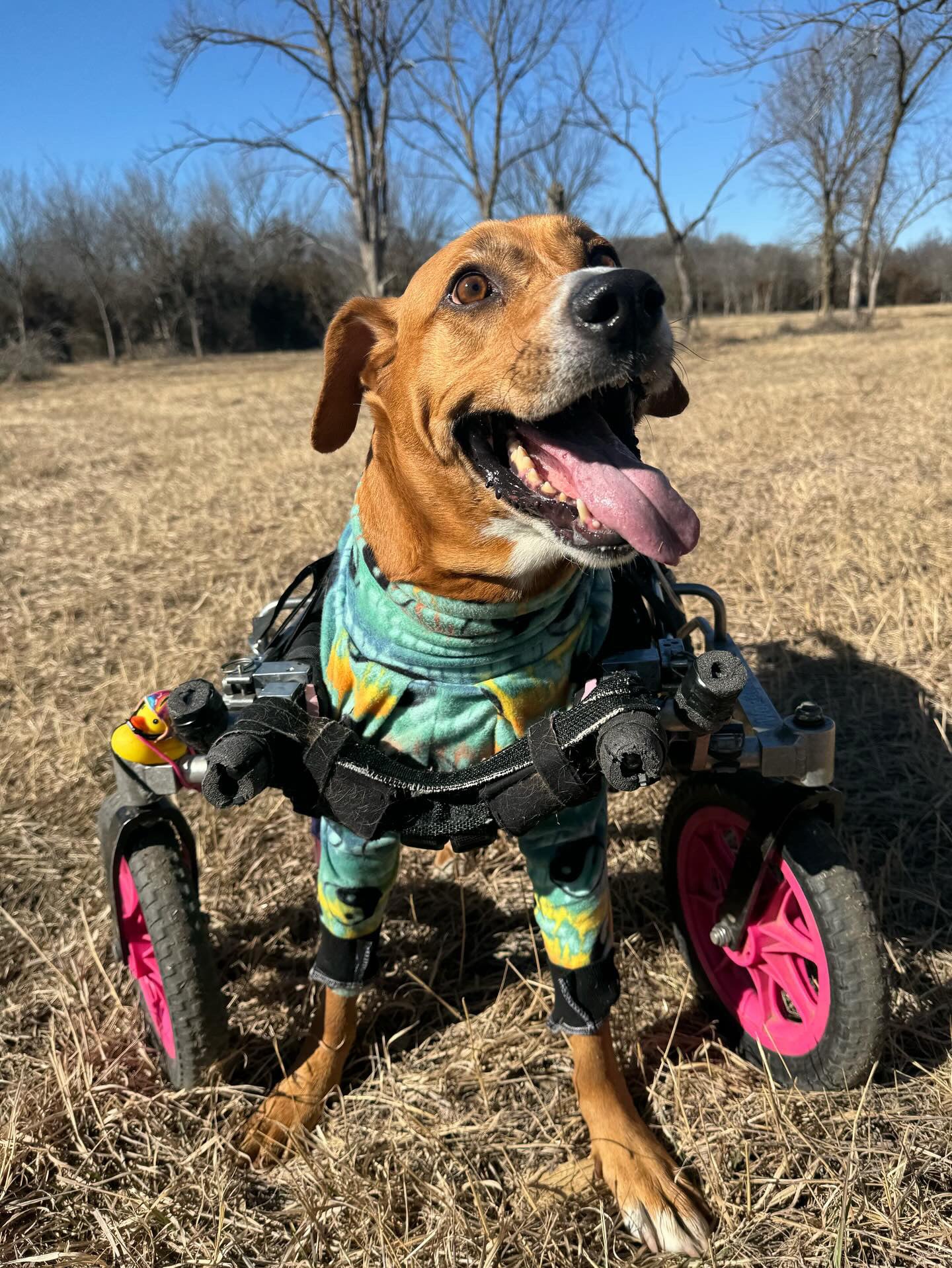 Matching BFF sweatshirts