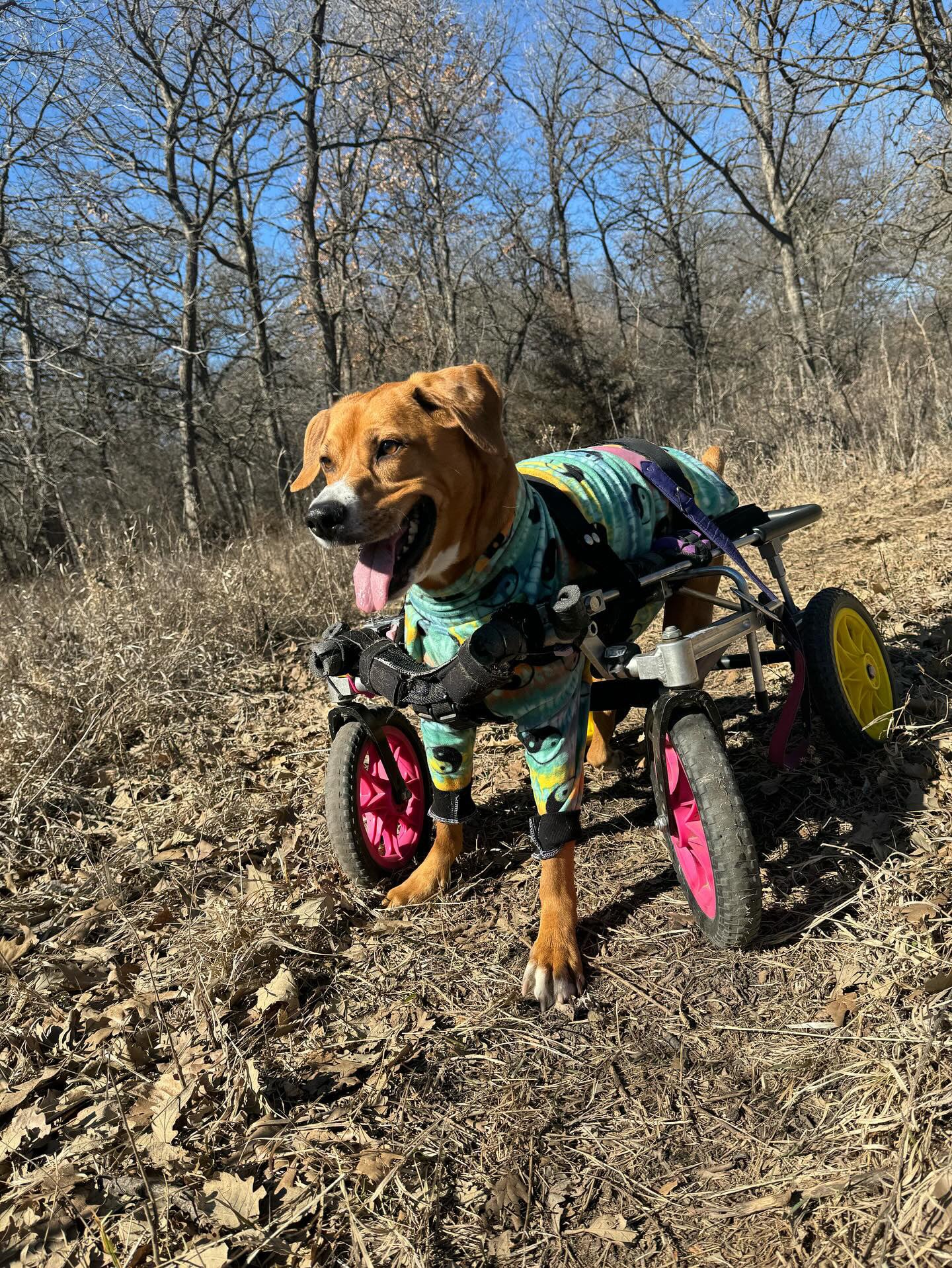 Matching BFF sweatshirts