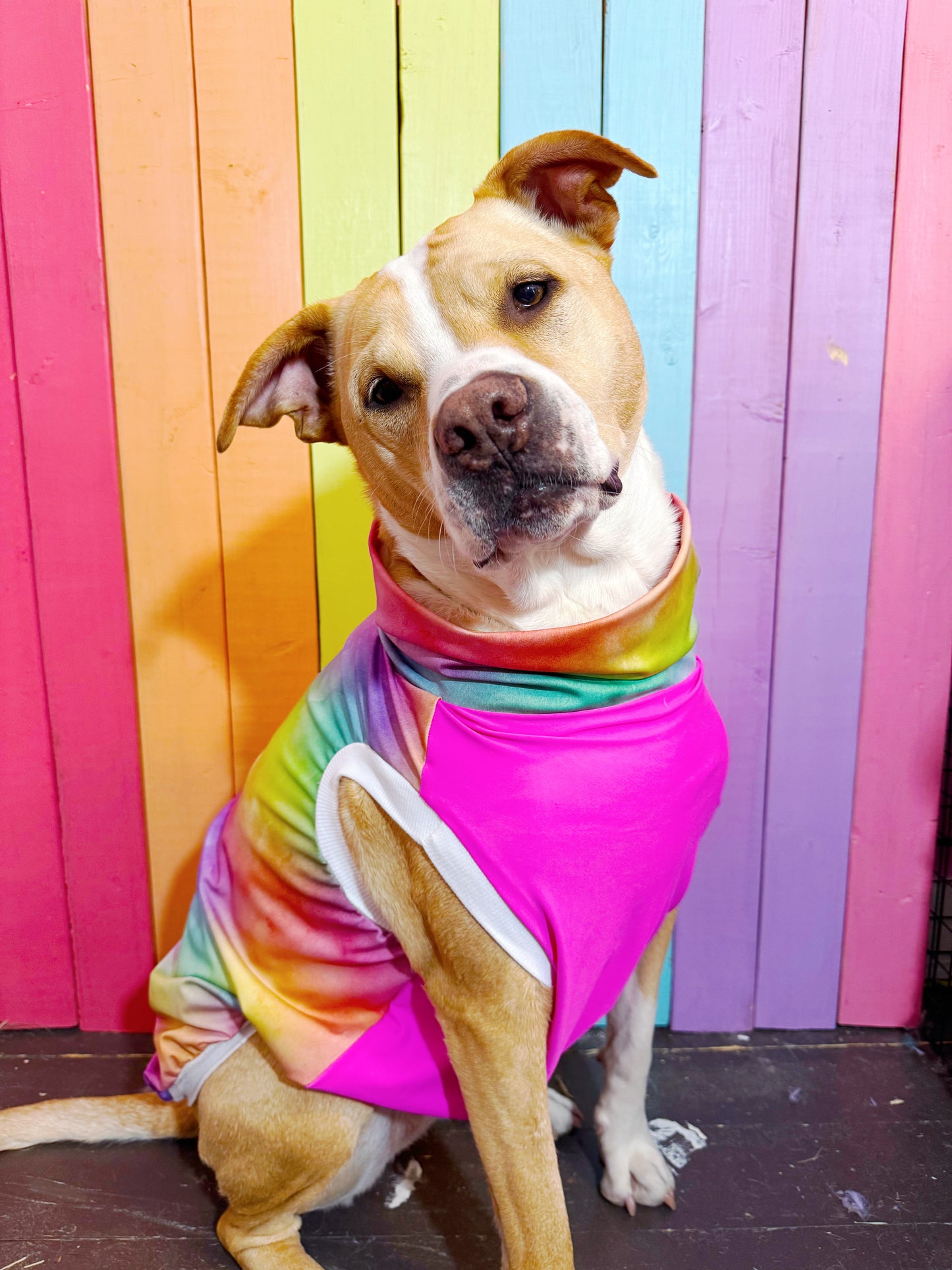 SPF 50 rainbow size large tank top