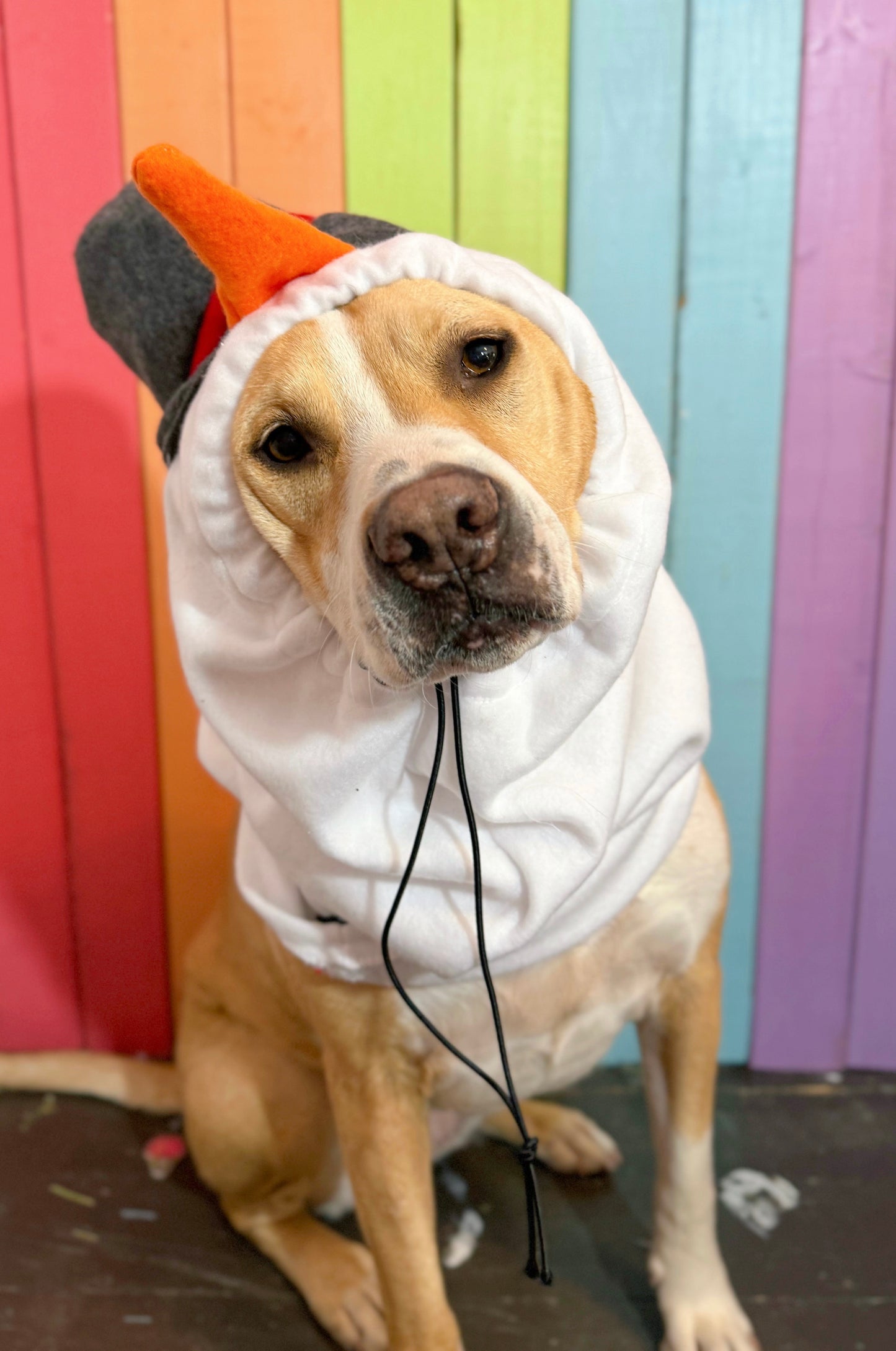 Frosty the snowman adjustable dog zoo snood