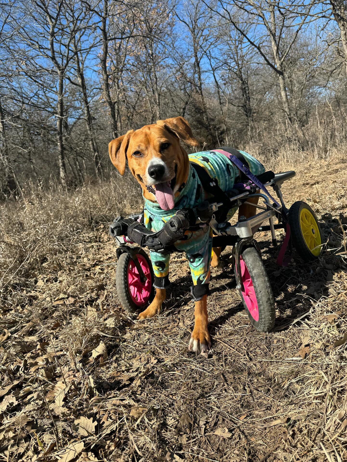 Matching BFF sweatshirts