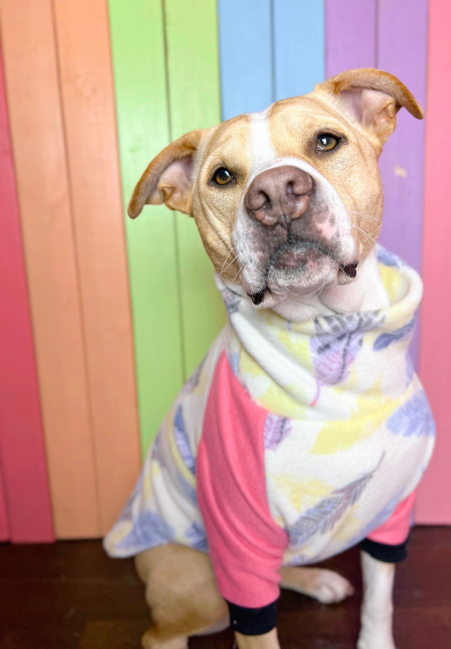 Pink feather print Long sleeve fleece dog sweatshirt