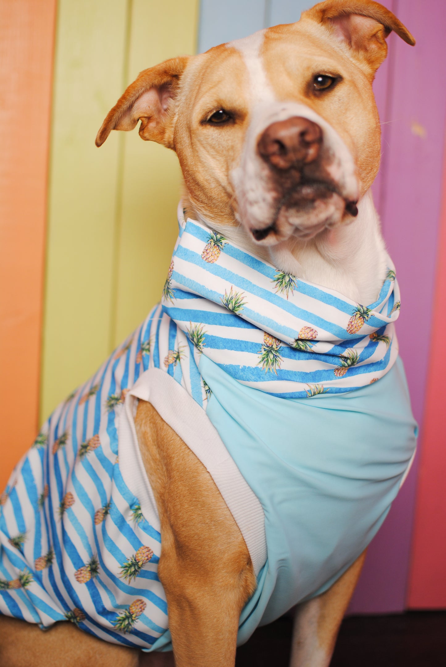 SPF 50 blue stripes and pineapples size large tank top