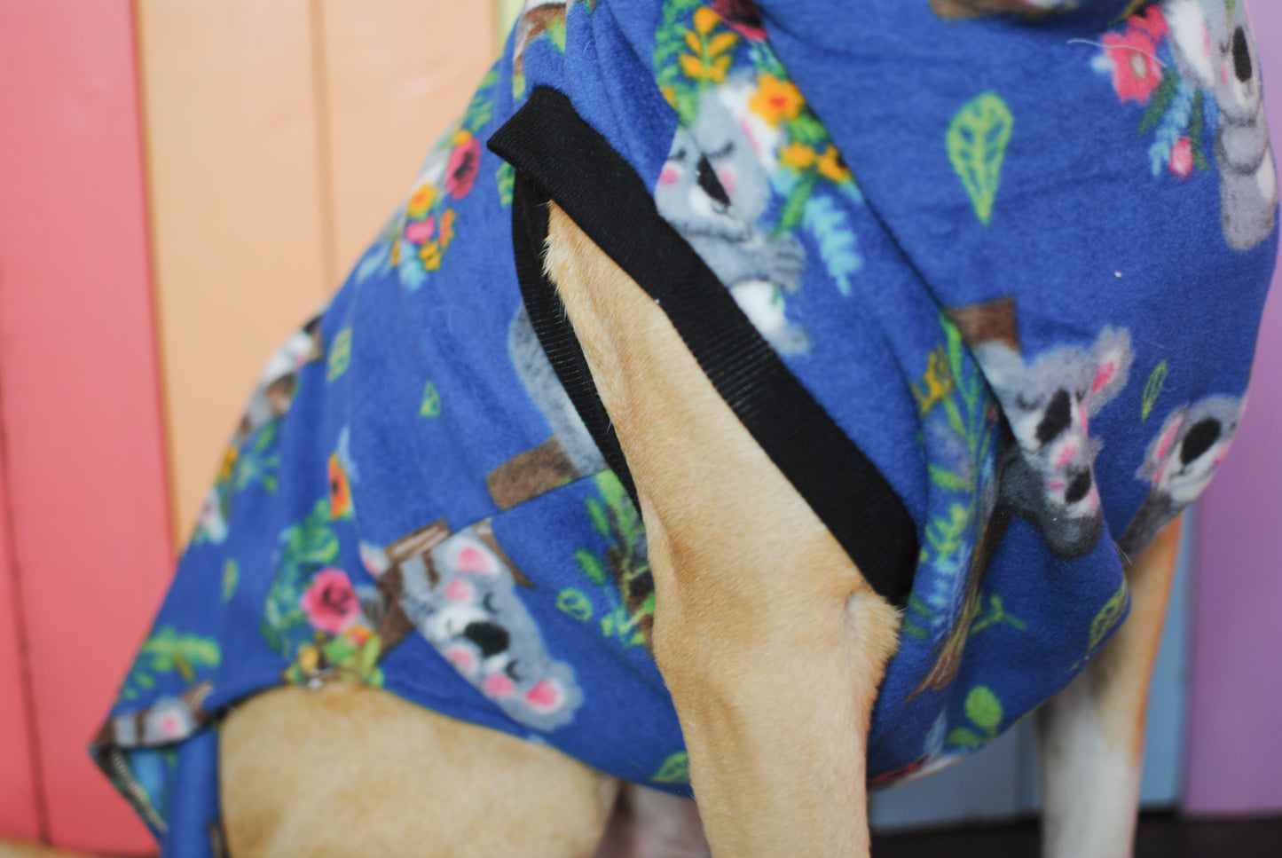 Koala floral print sleeveless dog sweatshirt