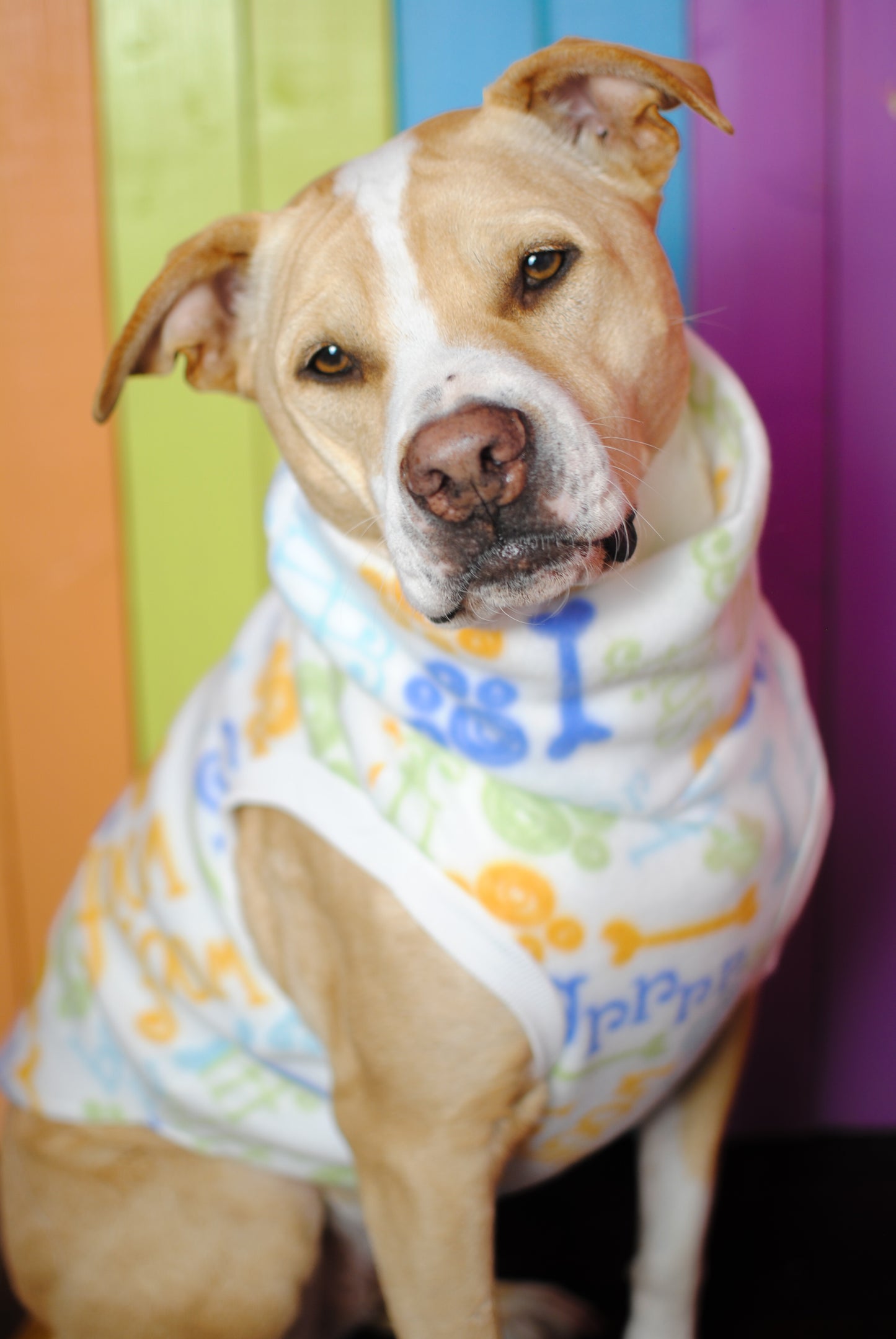 Puppy dog print sleeveless dog sweatshirt