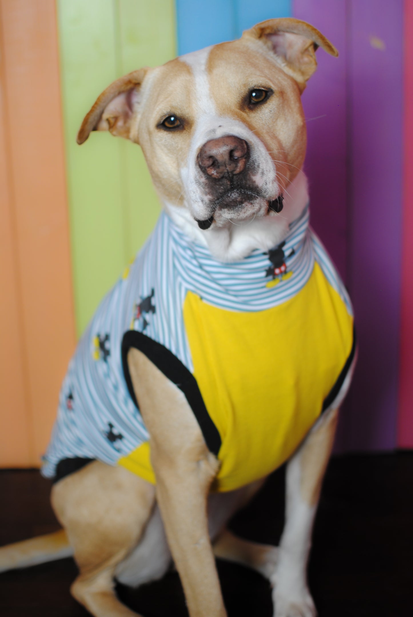 Mickey Mouse size medium stretchy dog tank top