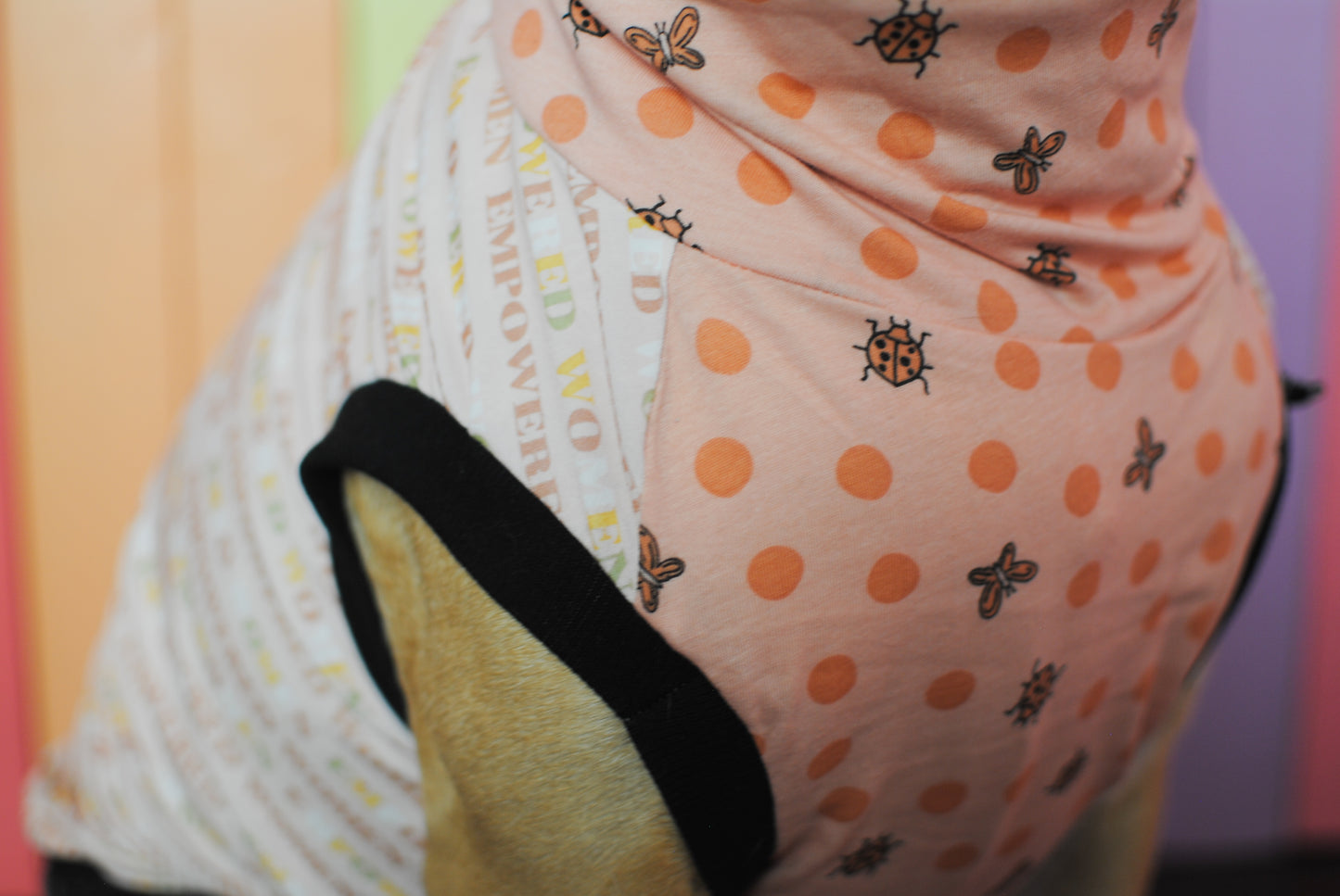 Girl power mix and match print stretchy dog tank top