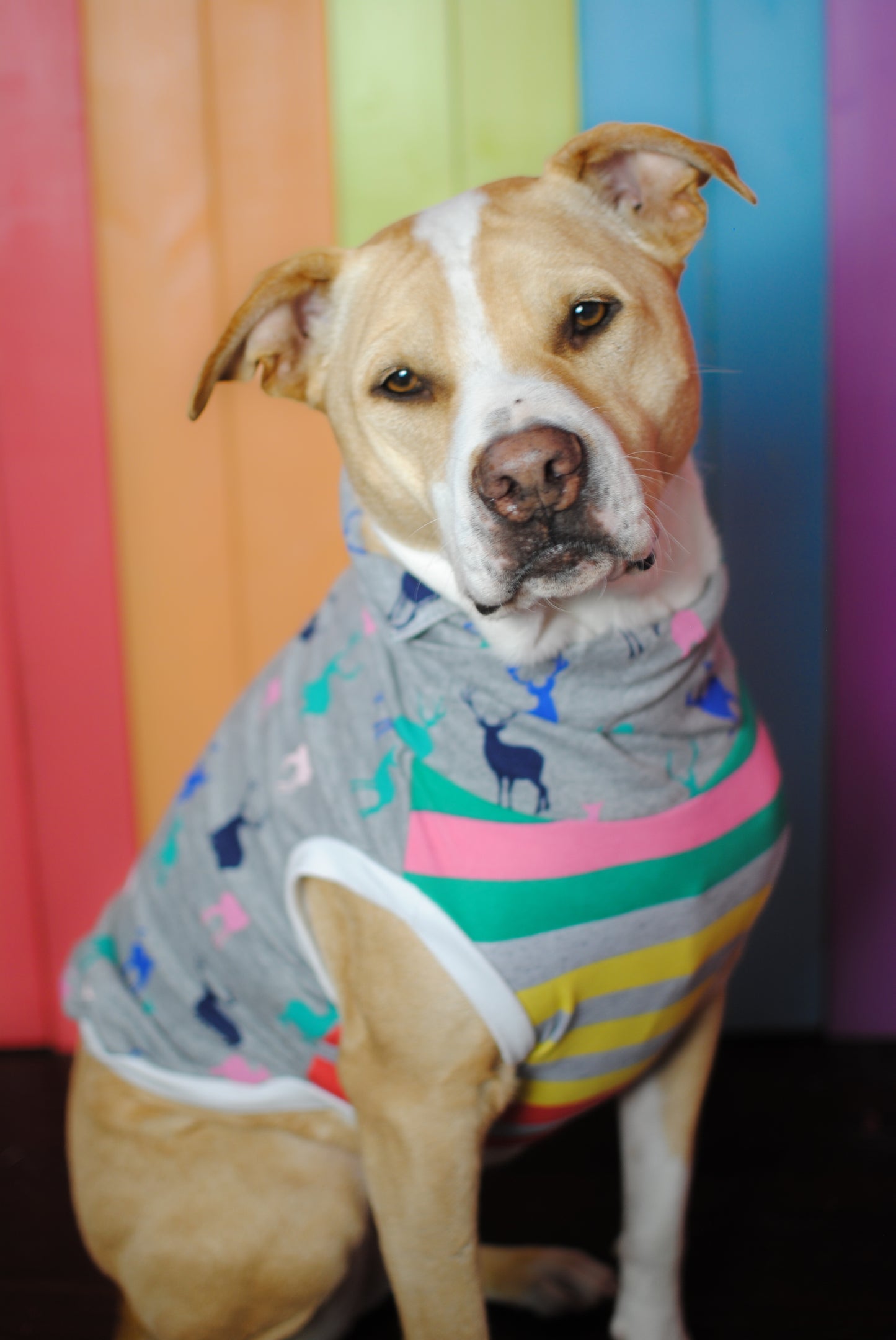 Deer print size medium stretchy dog tank top