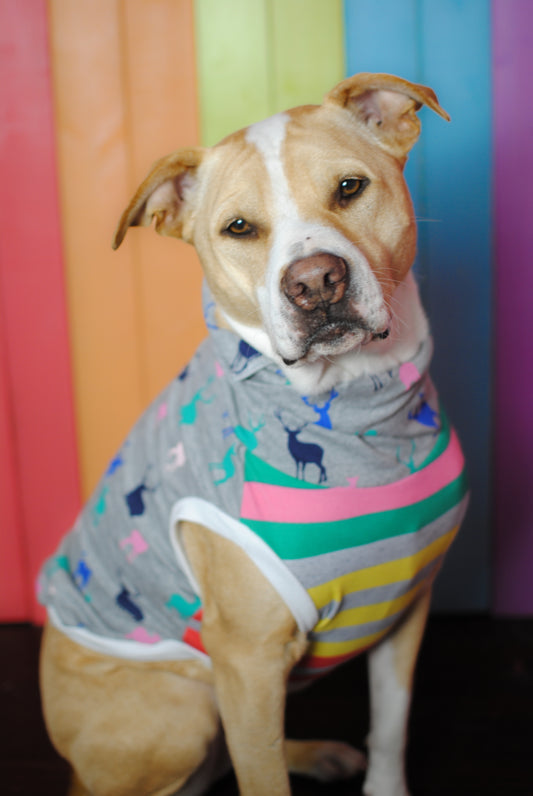 Deer print size medium stretchy dog tank top