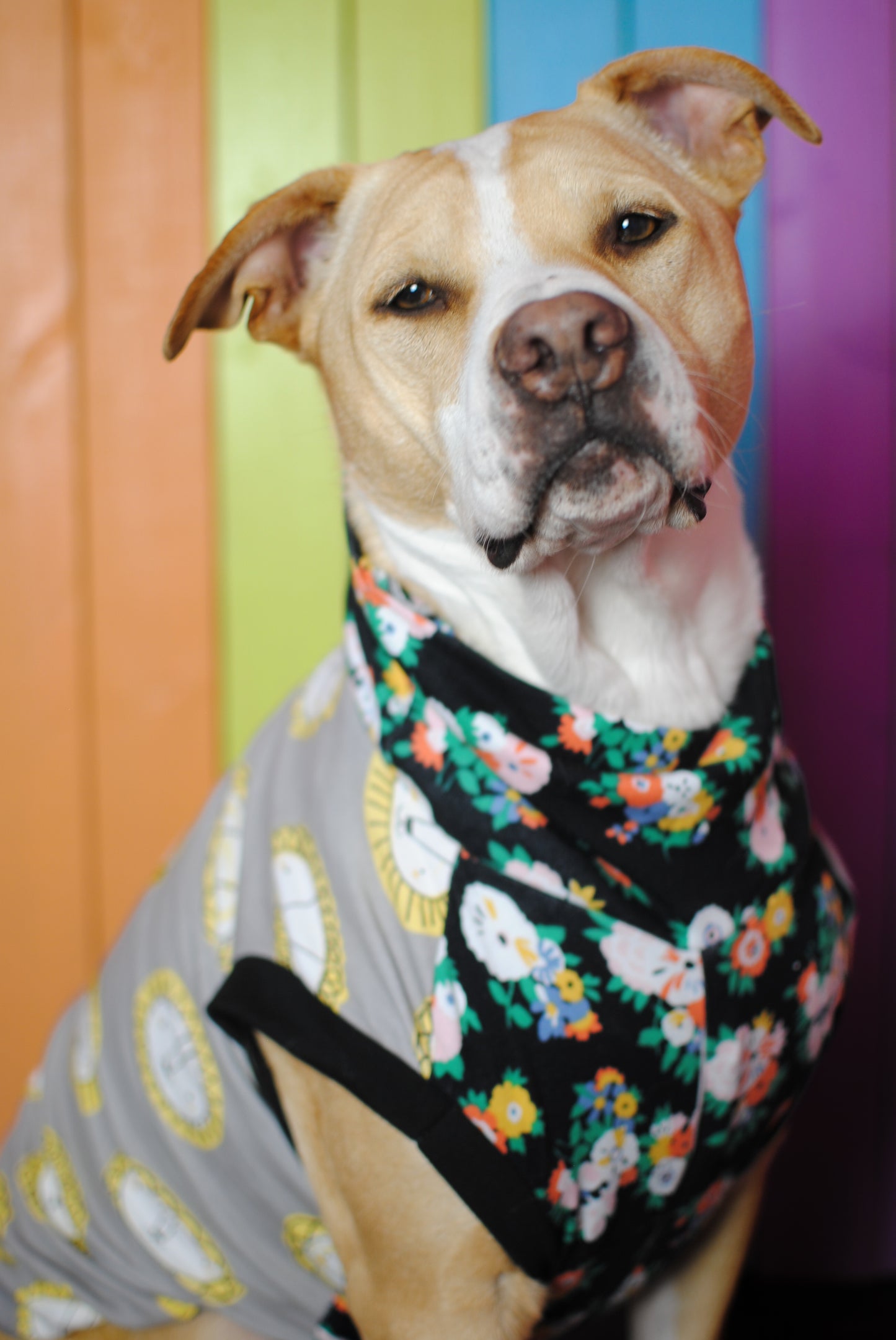 Lion and floral print size medium stretchy dog tank top