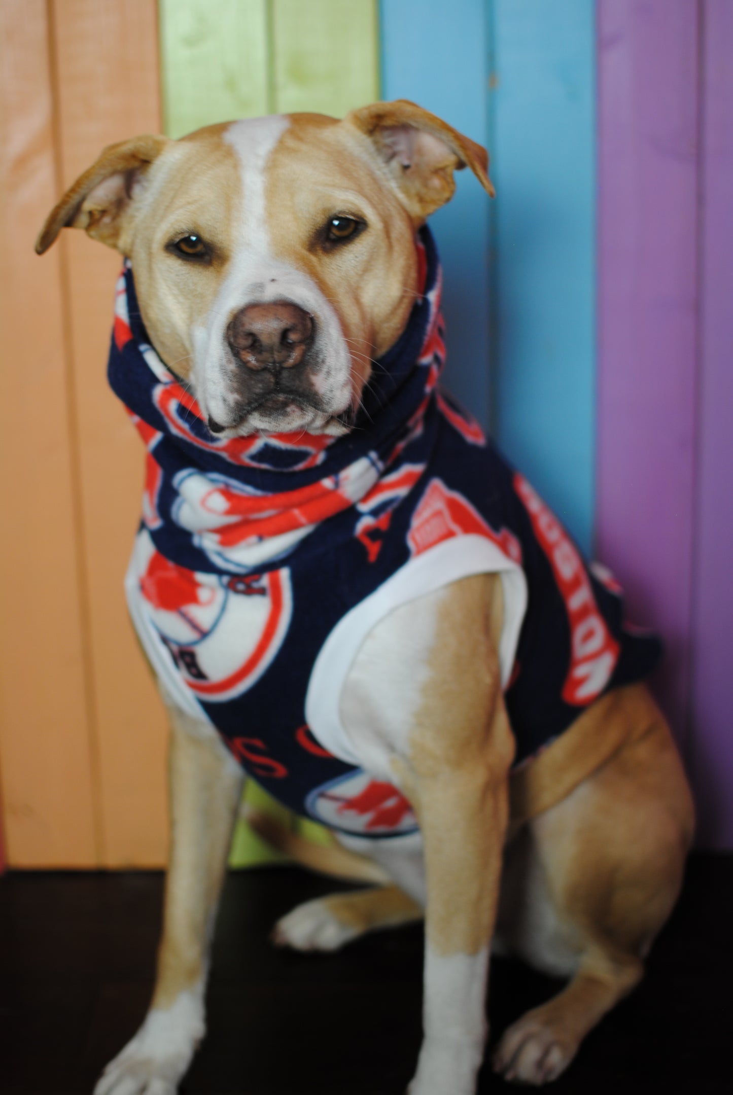 Boston Red Sox sleeveless dog sweatshirt