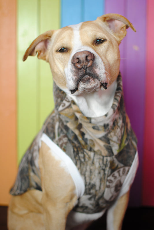 ON HOLD Camo Boston Red Sox fleece sleeveless dog sweatshirt