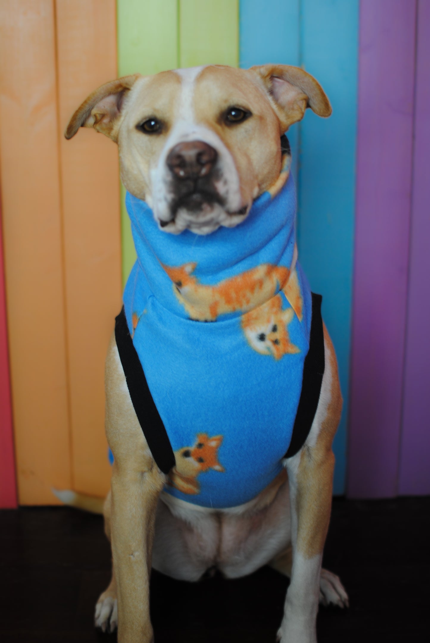 Cute fox fleece sleeveless dog sweatshirt