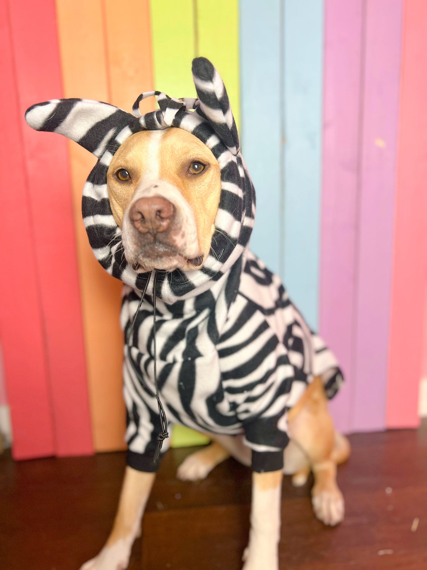 Zebra print zoo hoodie size medium fleece dog sweatshirt