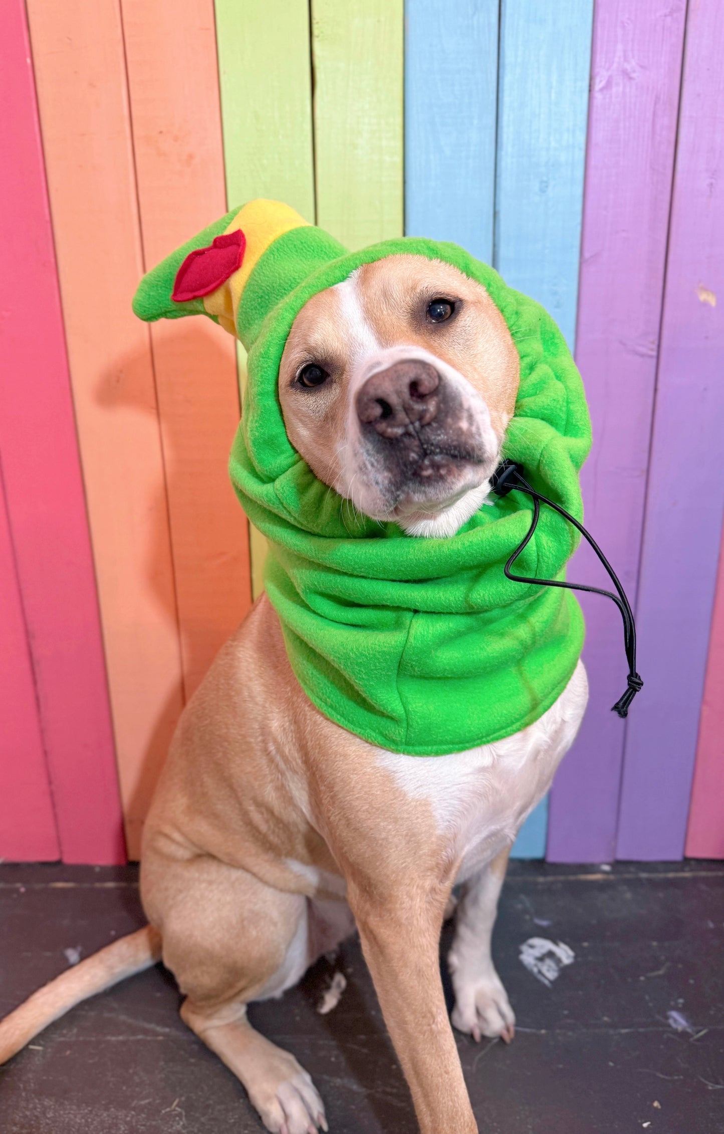 Custom Santas helper elf  adjustable dog zoo snood