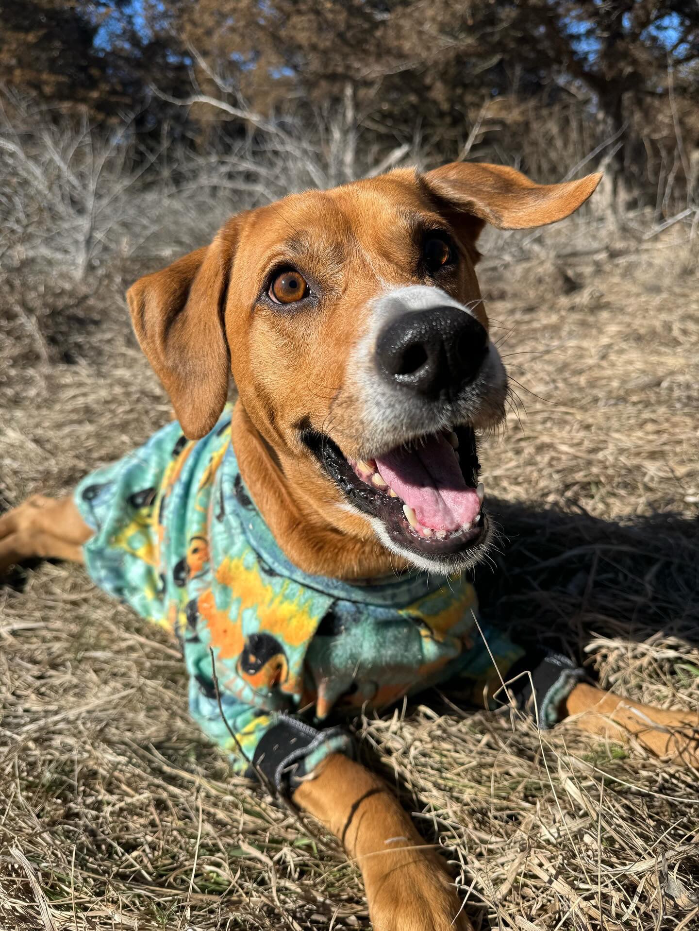 Matching BFF sweatshirts