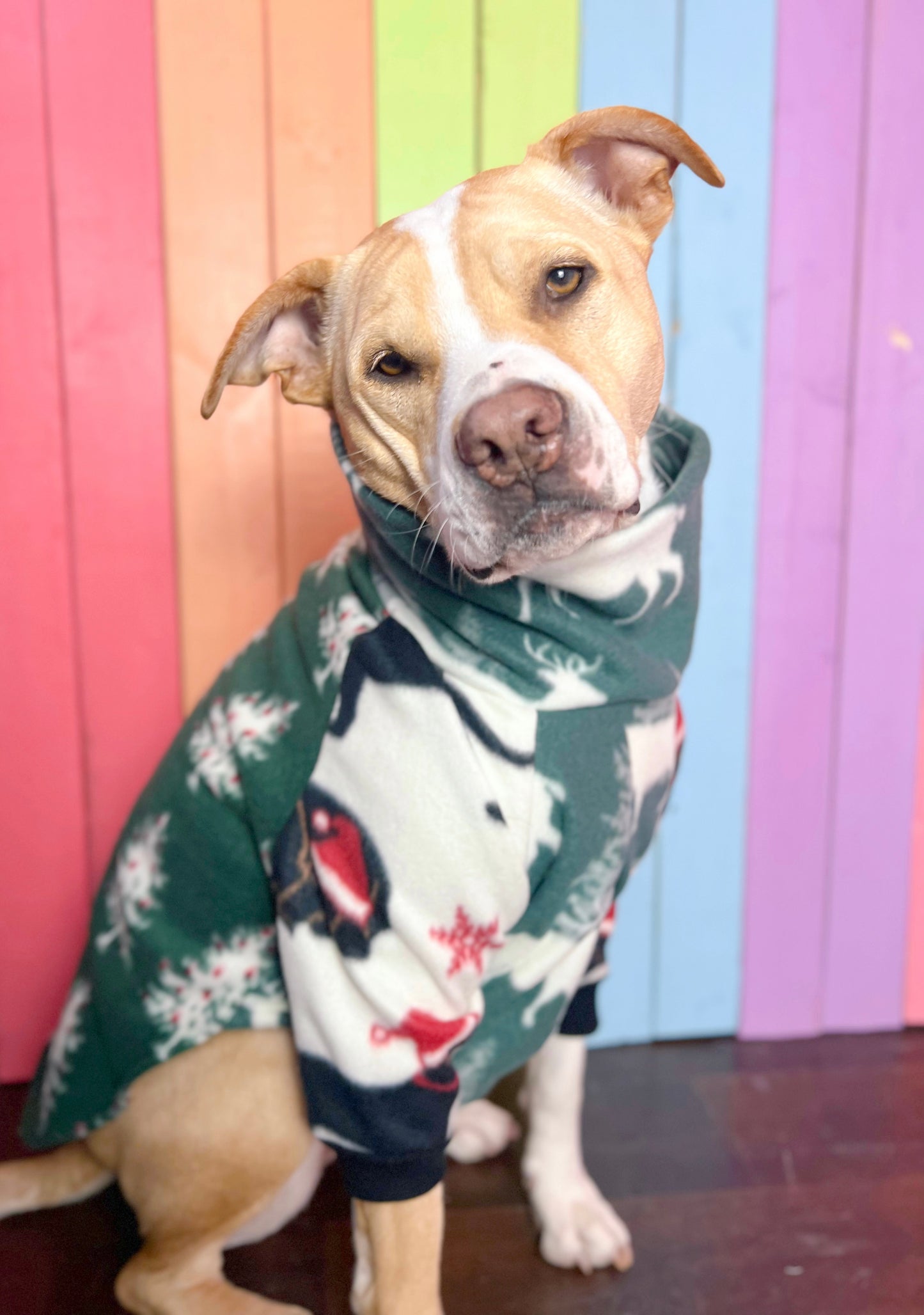 Christmas cabin mix and match Long sleeve fleece dog sweatshirt