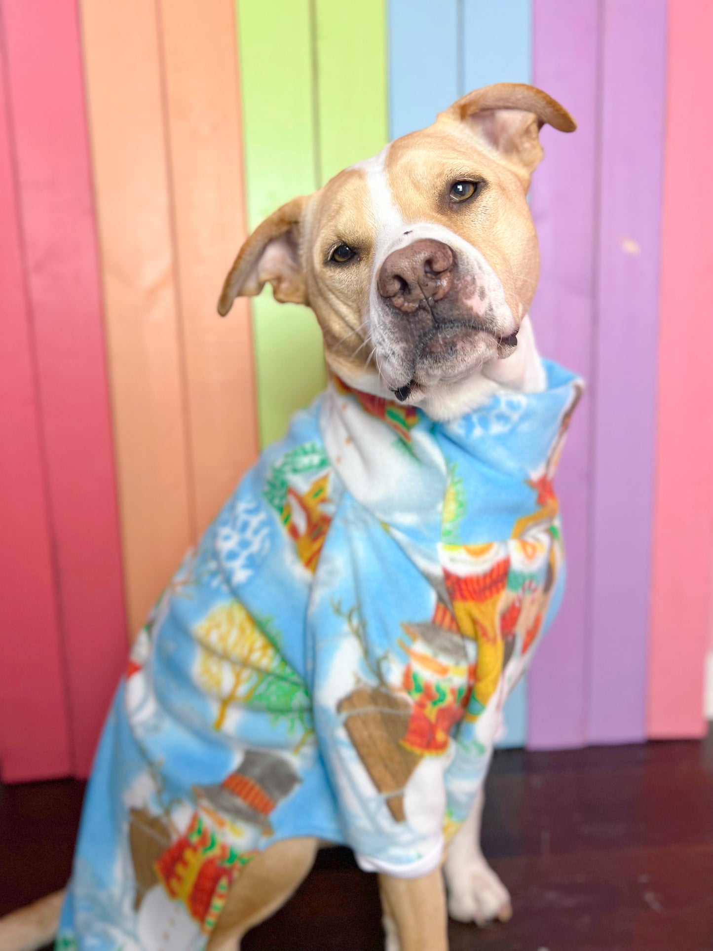 Winter wonderland Long sleeve fleece dog sweatshirt