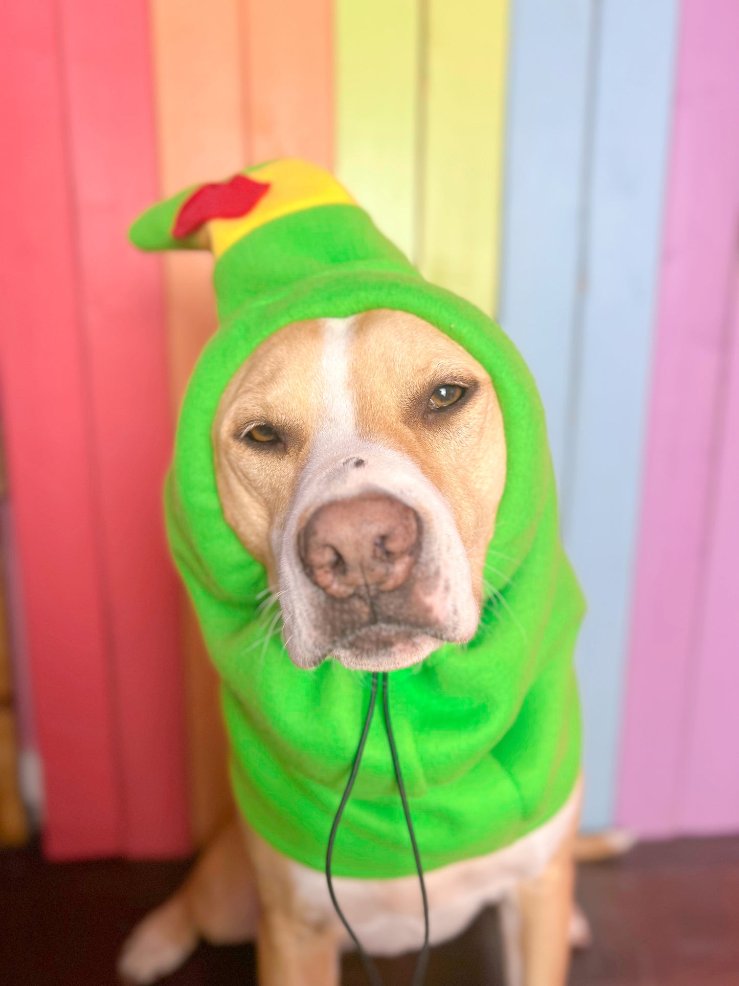 Custom Santas helper elf  adjustable dog zoo snood