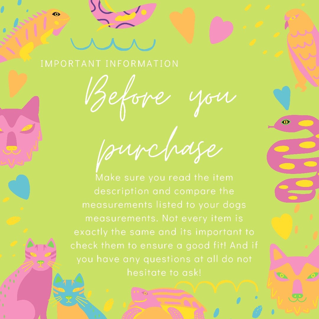 Girl power mix and match print stretchy dog tank top