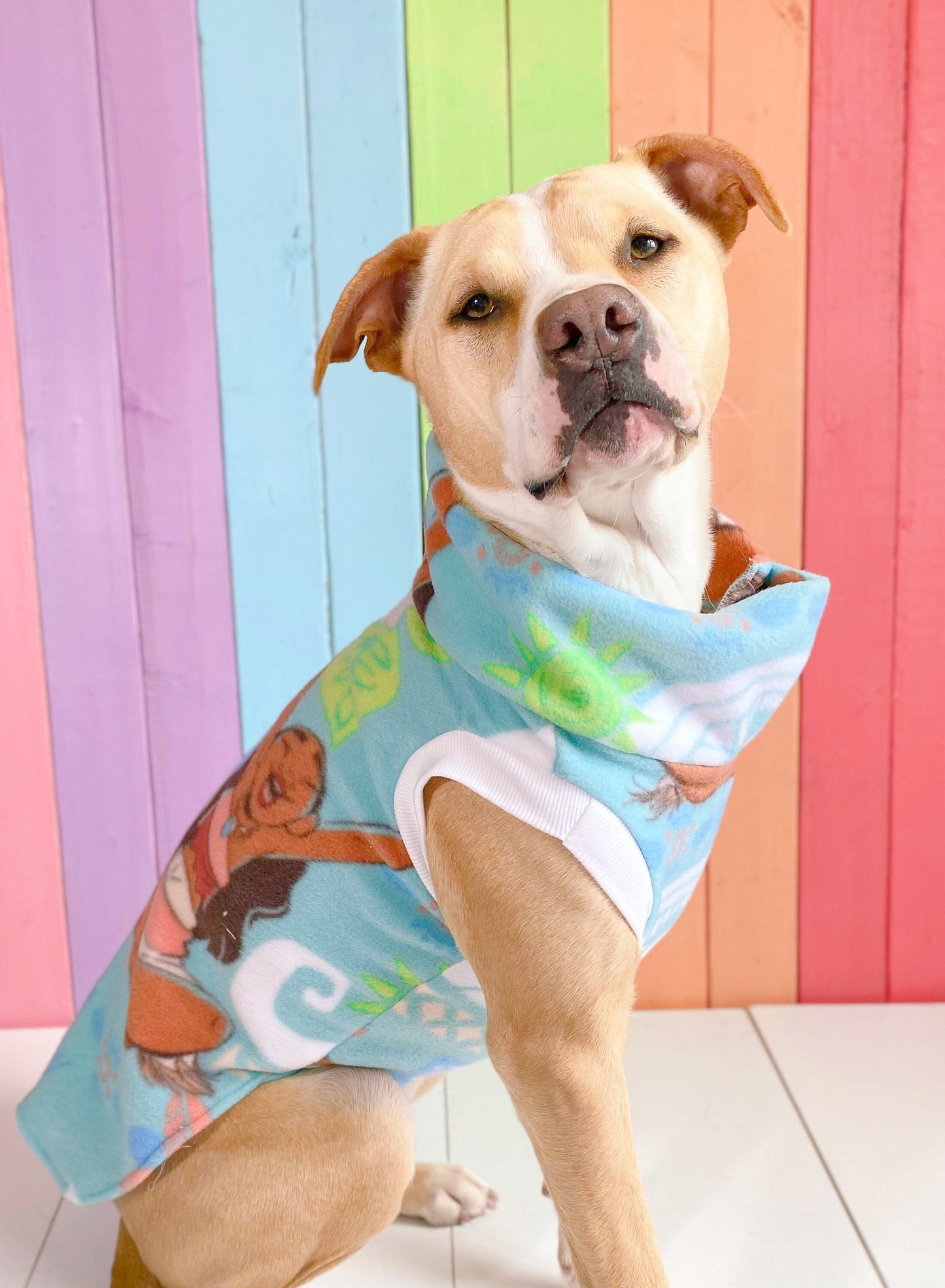 Disney’s moana fleece dog sweatshirt