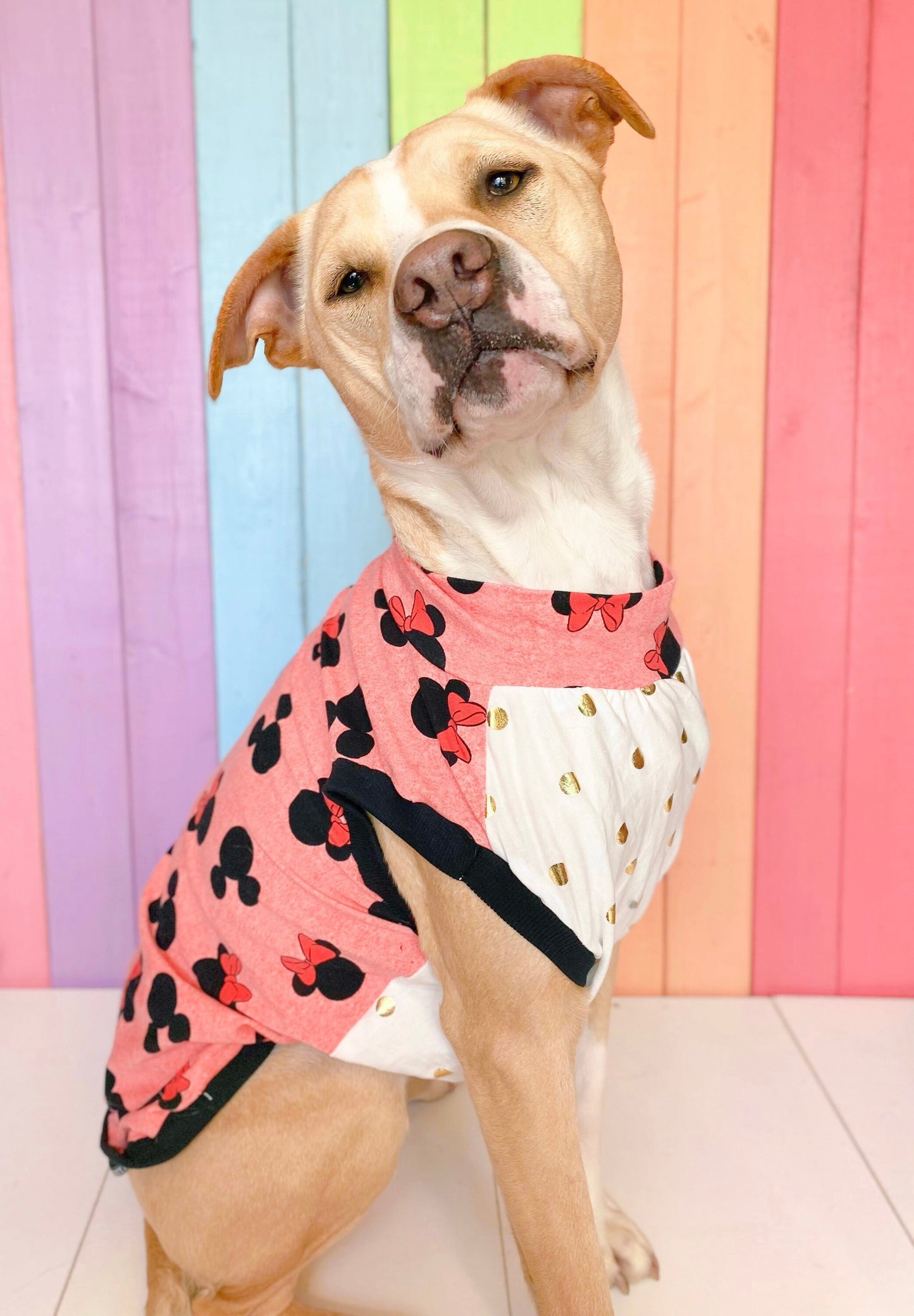 Minnie Mouse dog tank top medium dog pit bull