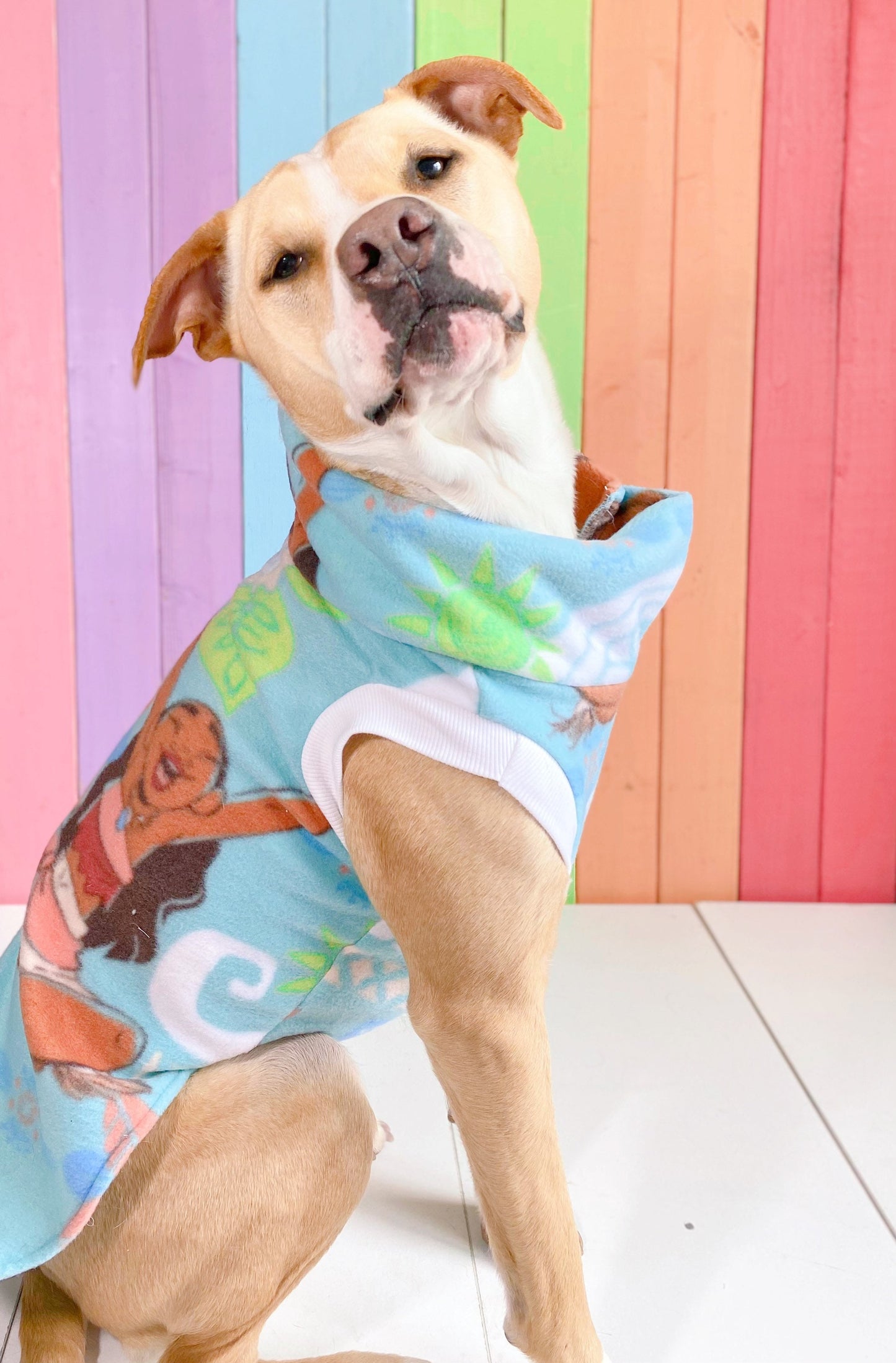 Disney’s moana fleece dog sweatshirt