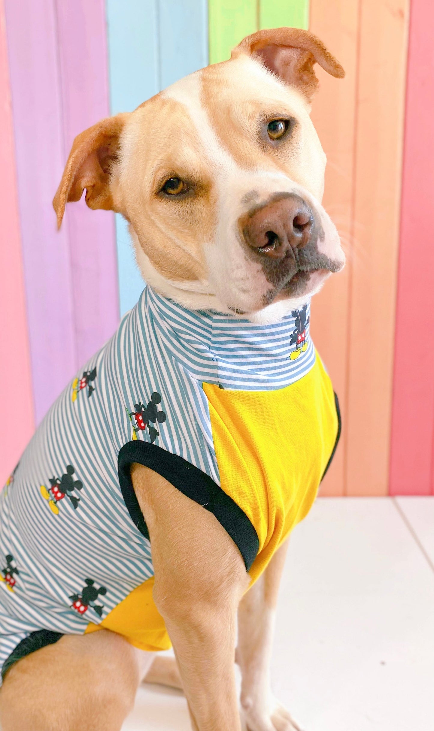 Mickey Mouse size medium stretchy dog tank top