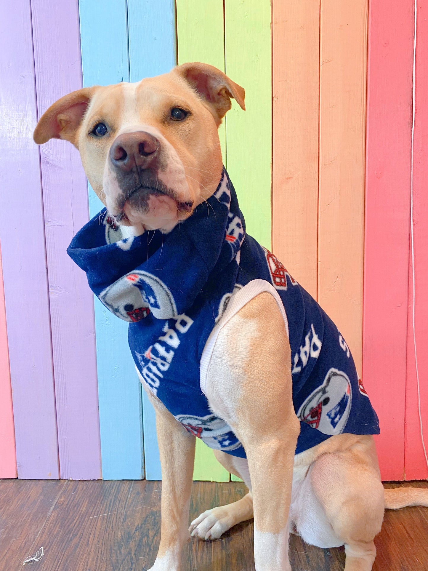 New England patriots size medium sleeveless dog sweatshirt