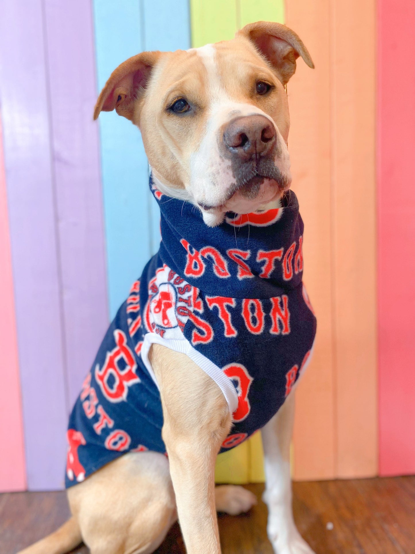 Boston Red Sox sleeveless dog sweatshirt