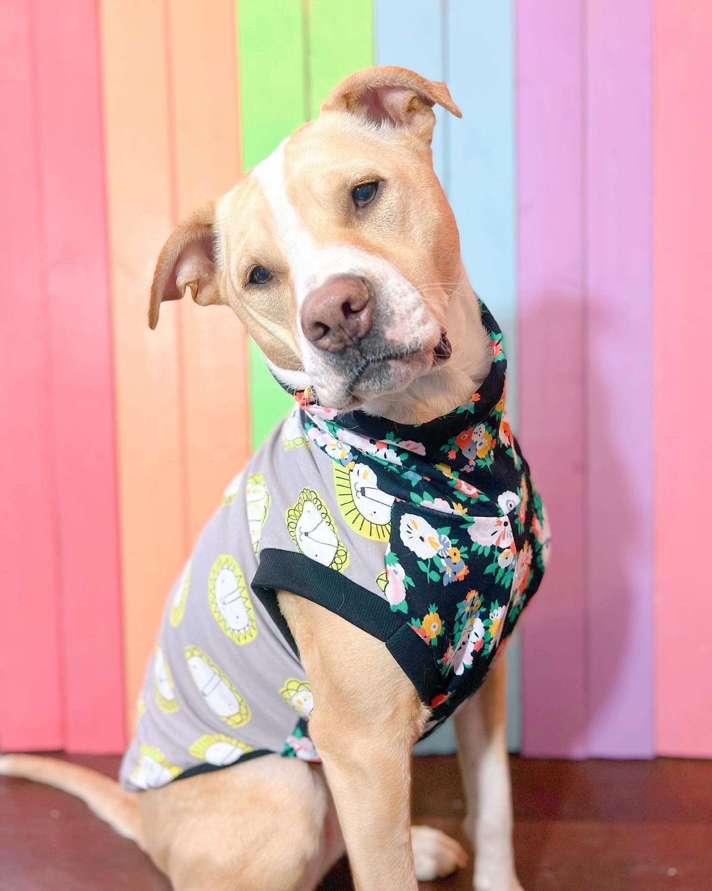 Lion and floral print size medium stretchy dog tank top