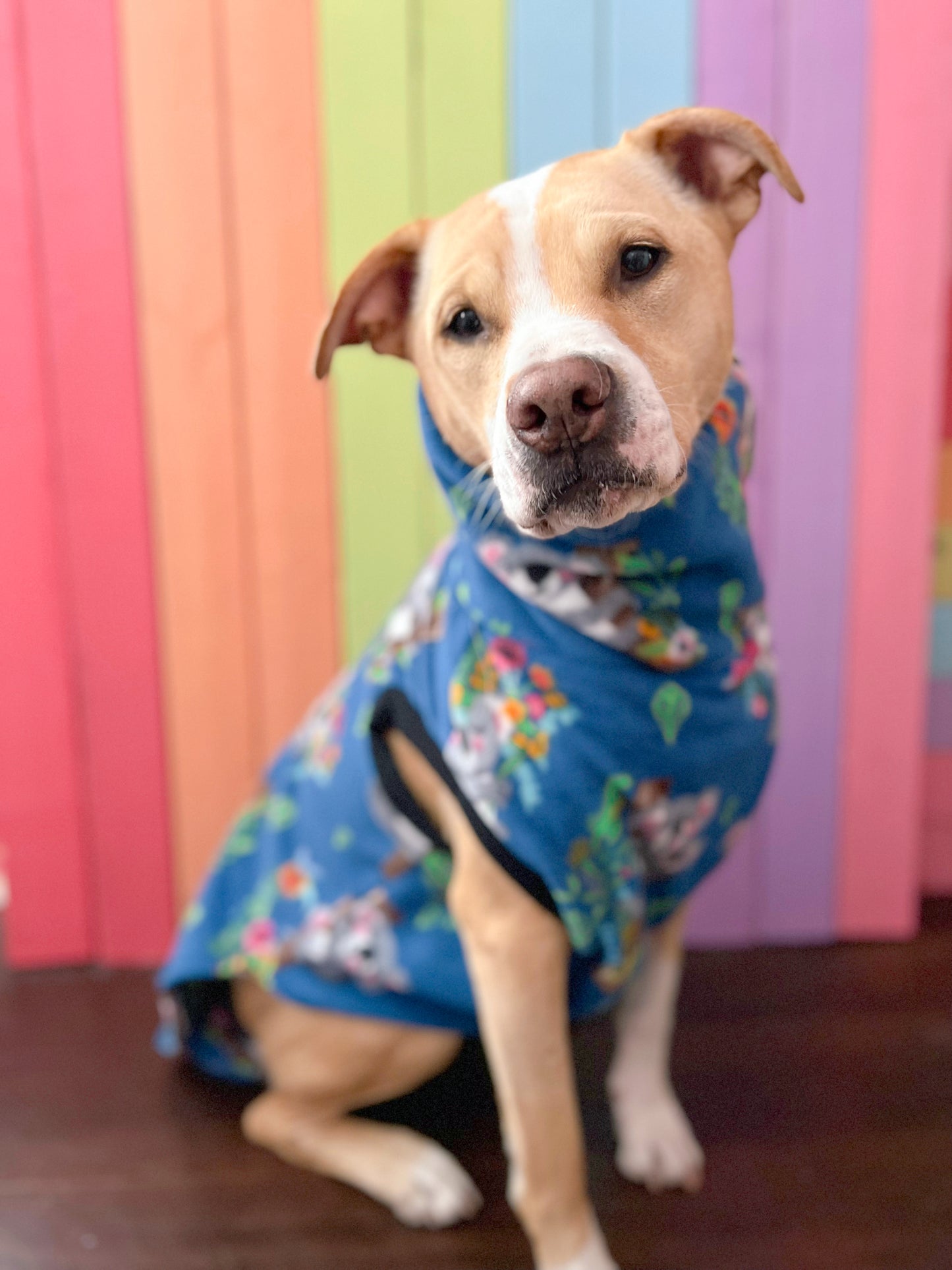 Koala floral print sleeveless dog sweatshirt