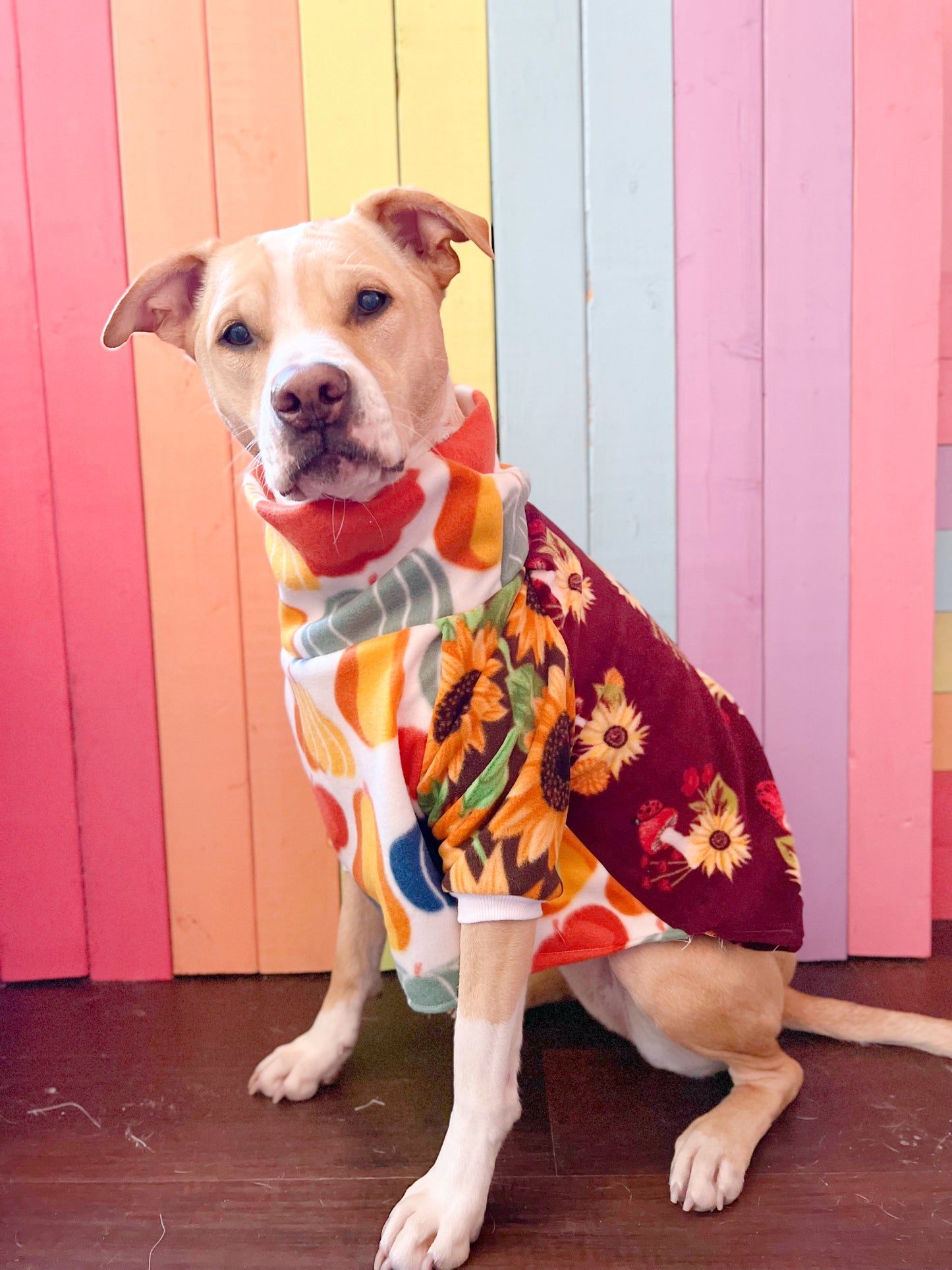 Oh my gourd! Mix and match print fleece sweatshirt