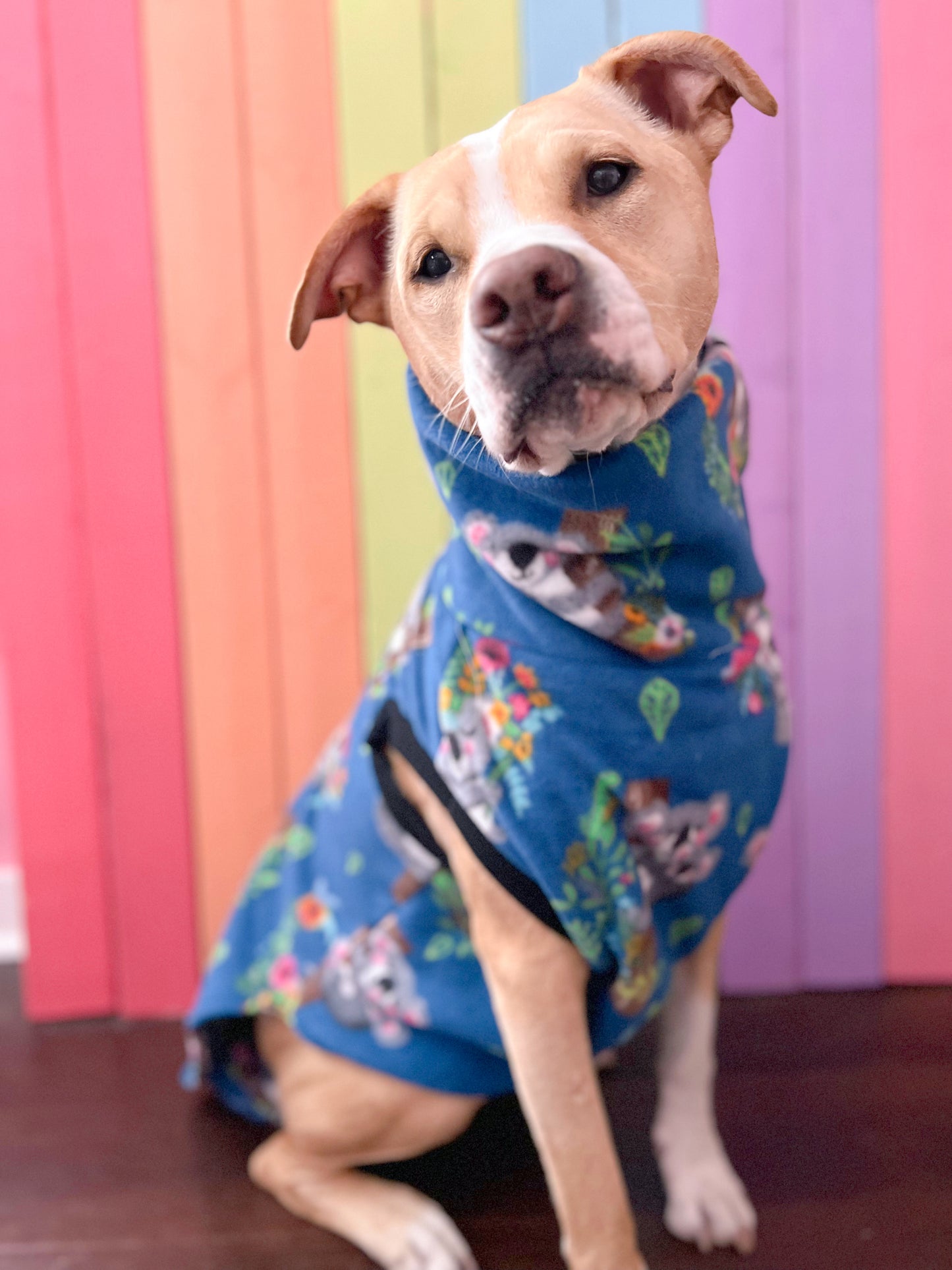 Koala floral print sleeveless dog sweatshirt