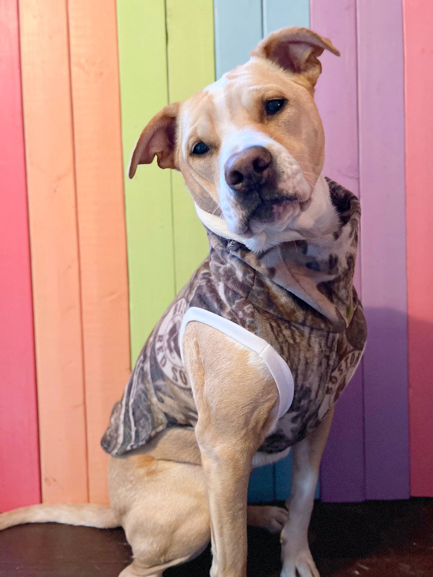 ON HOLD Camo Boston Red Sox fleece sleeveless dog sweatshirt