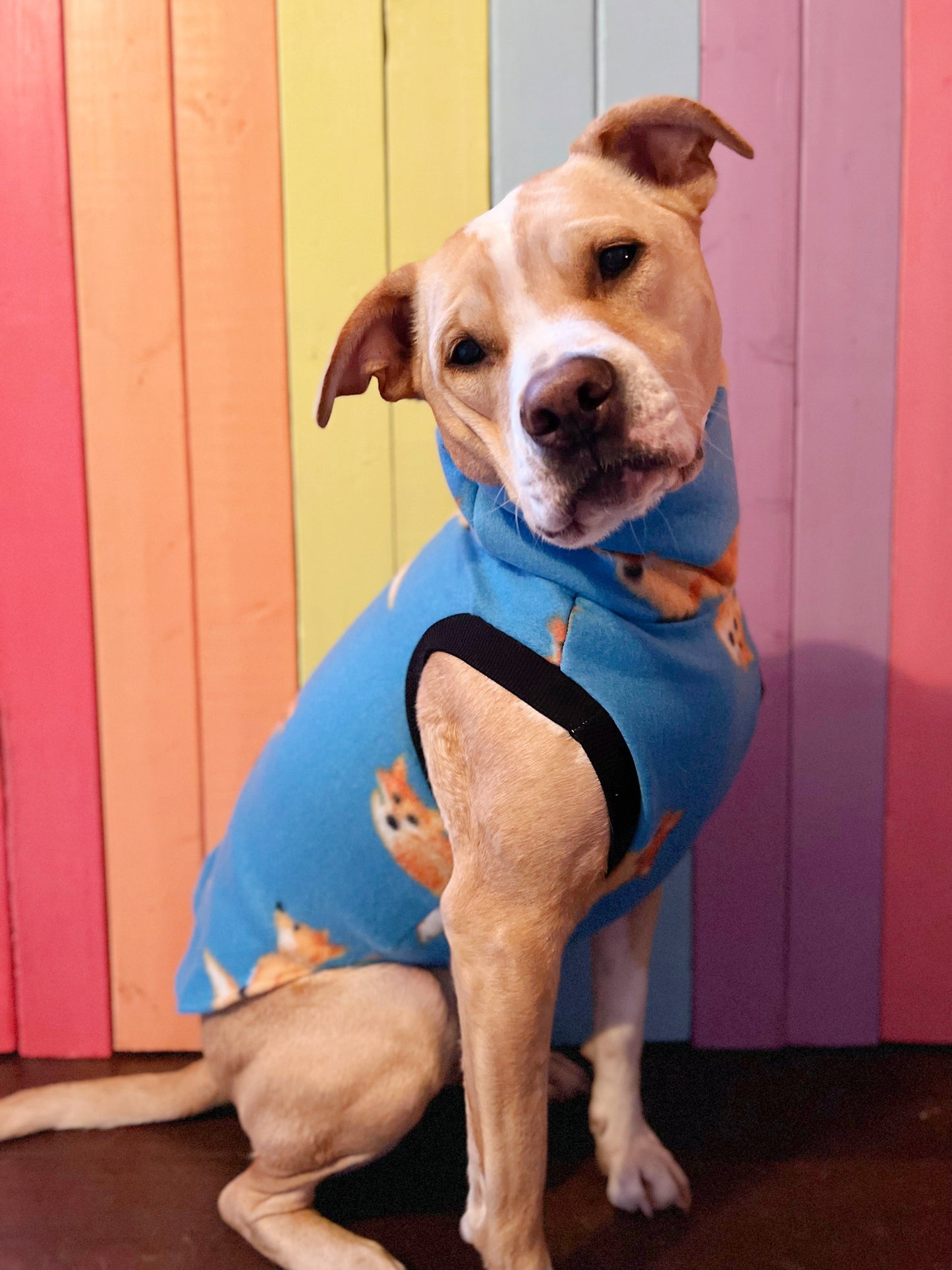 Cute fox fleece sleeveless dog sweatshirt