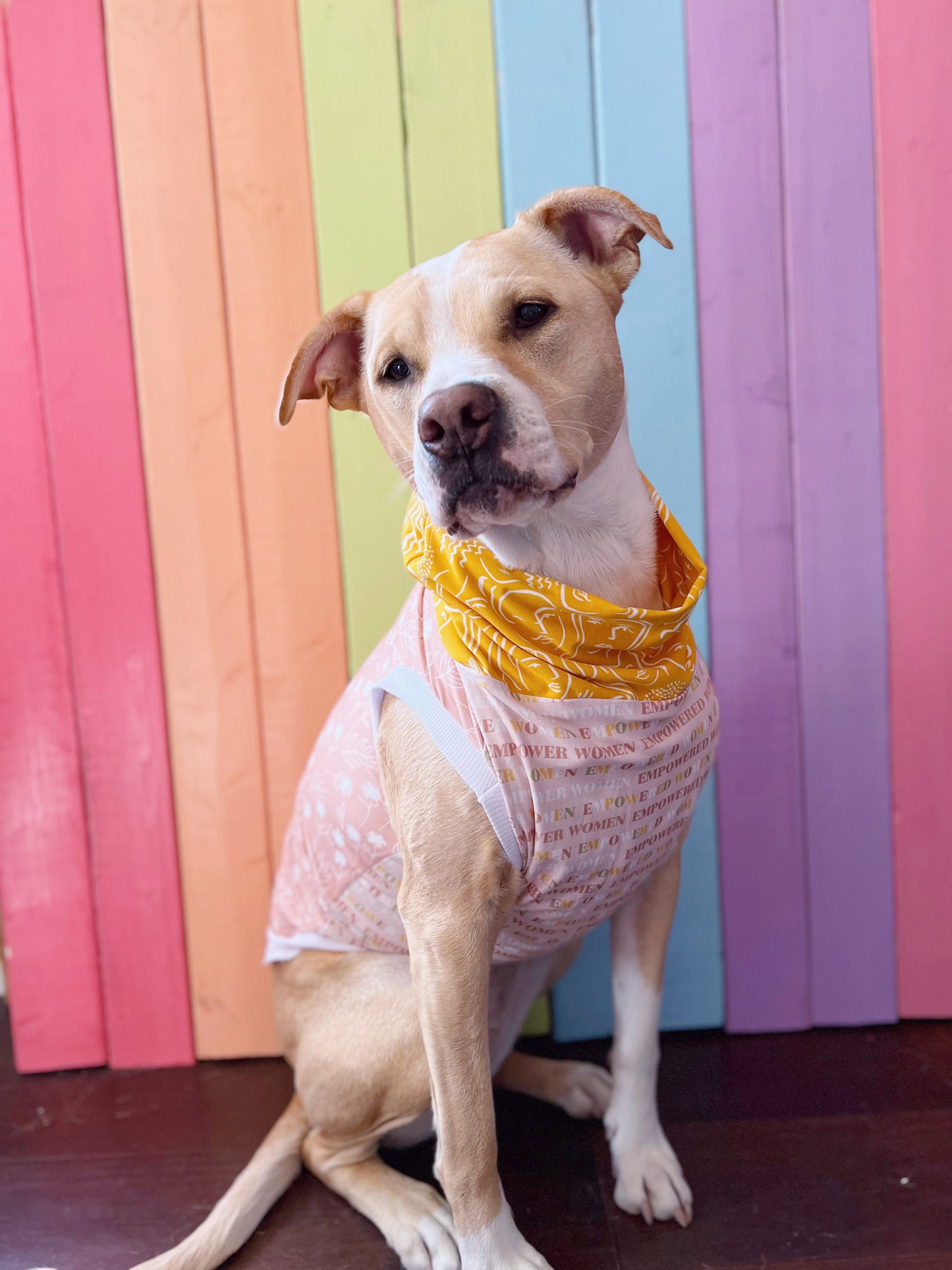 Girl power mix and match print stretchy dog tank top