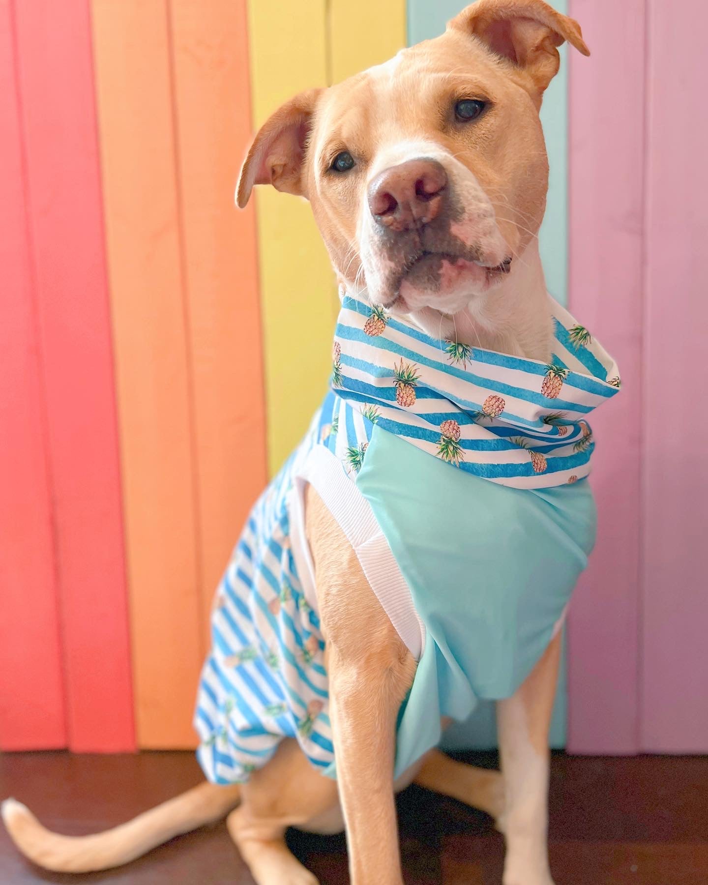 SPF 50 blue stripes and pineapples size large tank top