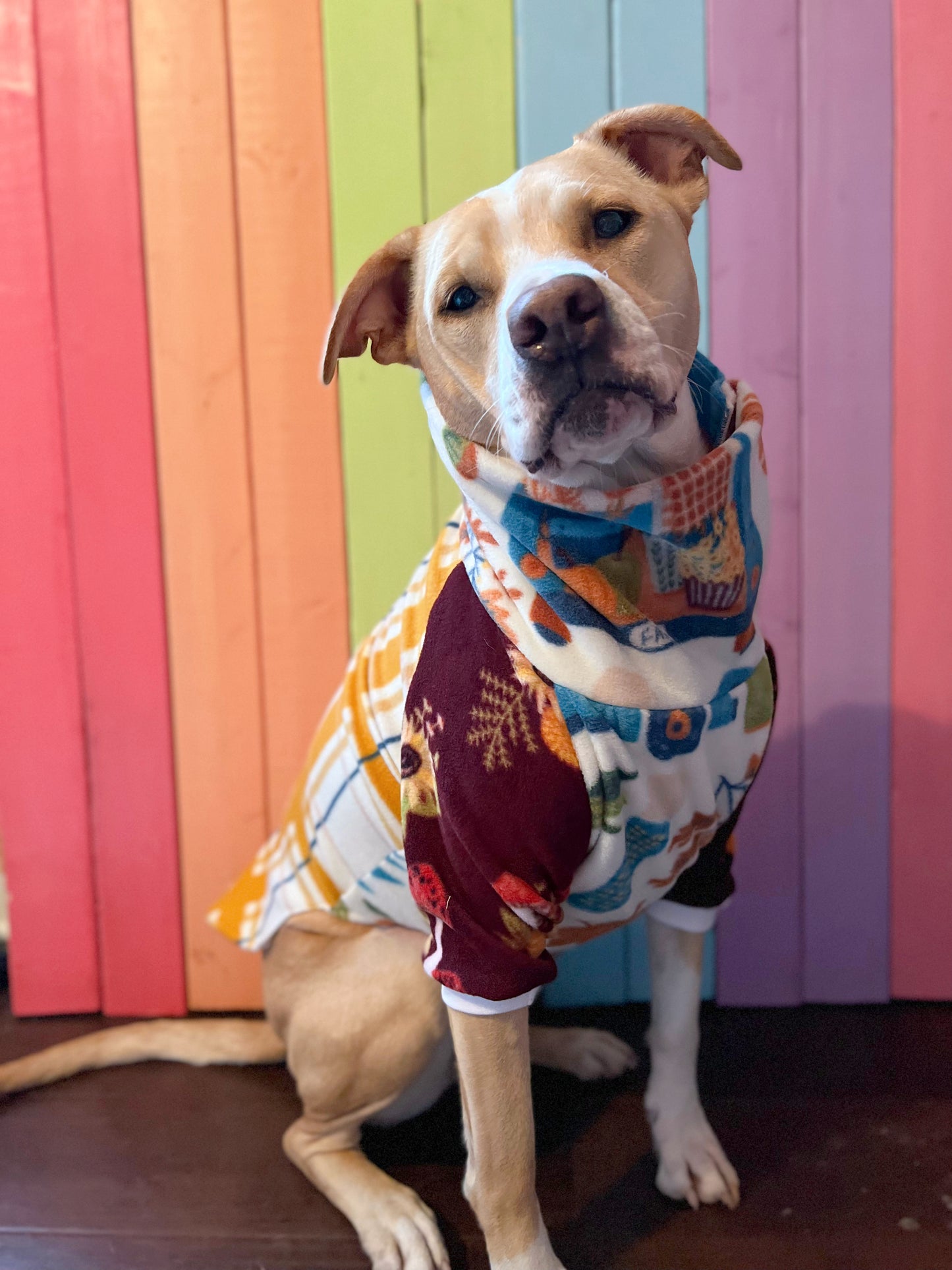 Oh my gourd! Mix and match print fleece sweatshirt